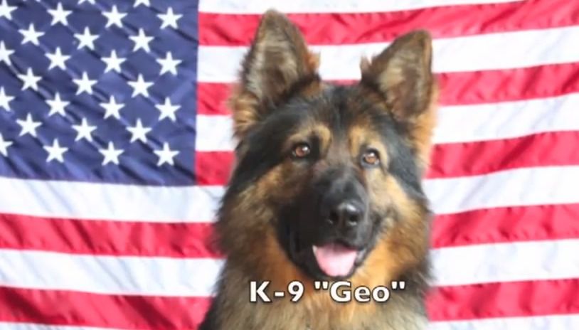 "Geo" named In Memory of Staff Sergeant Jorge M. Oliveira of the U.S. Army 2nd Battalion, 113th Infantry Regiment, 50th Brigade Combat Team.